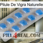 Natural Vigra Pill 22